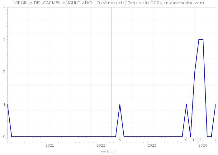 VIRGINIA DEL CARMEN ANGULO ANGULO (Venezuela) Page visits 2024 