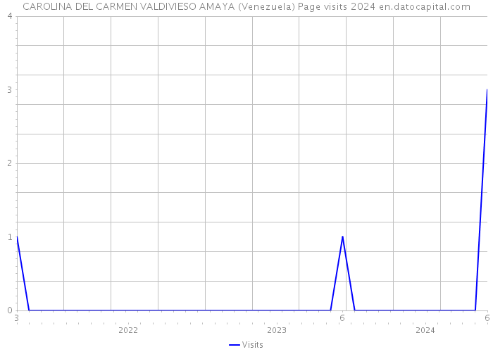 CAROLINA DEL CARMEN VALDIVIESO AMAYA (Venezuela) Page visits 2024 