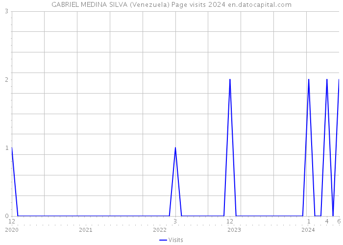 GABRIEL MEDINA SILVA (Venezuela) Page visits 2024 