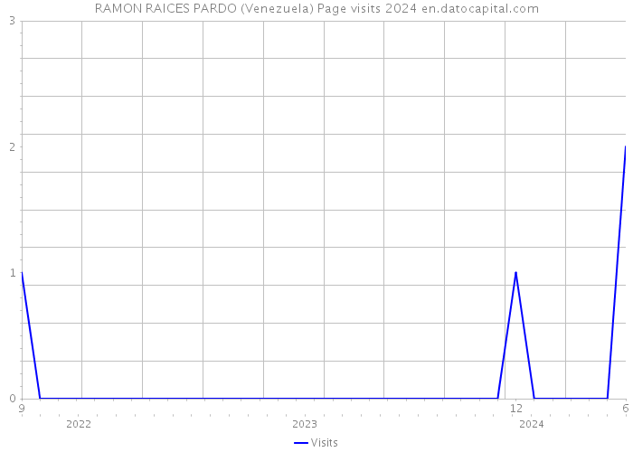 RAMON RAICES PARDO (Venezuela) Page visits 2024 