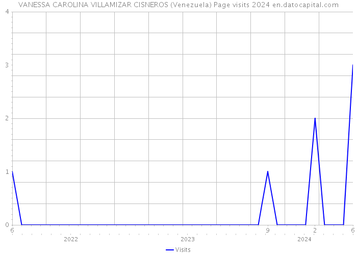 VANESSA CAROLINA VILLAMIZAR CISNEROS (Venezuela) Page visits 2024 