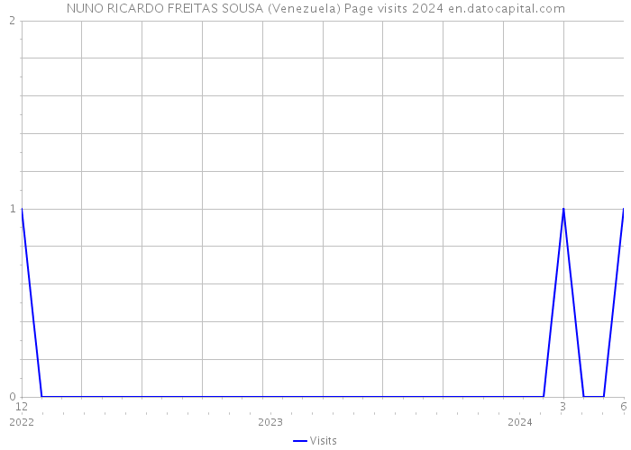NUNO RICARDO FREITAS SOUSA (Venezuela) Page visits 2024 