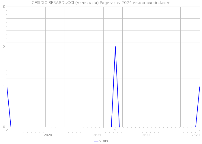 CESIDIO BERARDUCCI (Venezuela) Page visits 2024 