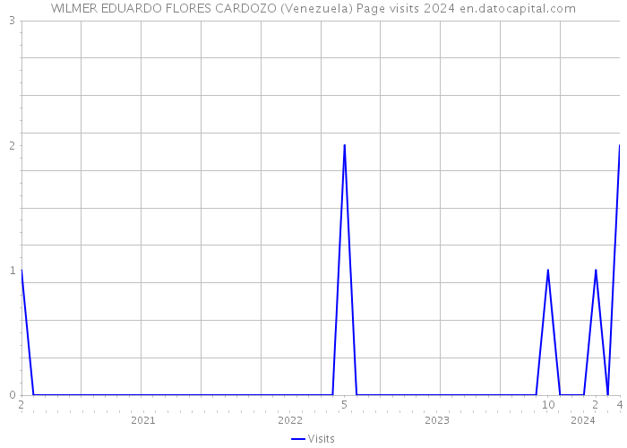 WILMER EDUARDO FLORES CARDOZO (Venezuela) Page visits 2024 