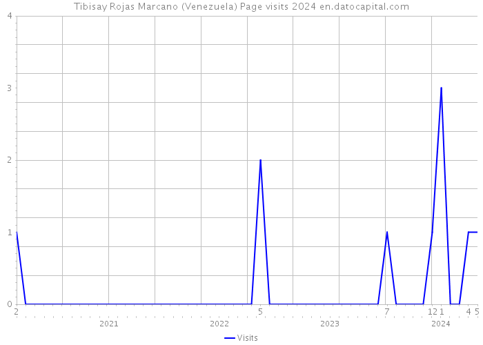 Tibisay Rojas Marcano (Venezuela) Page visits 2024 