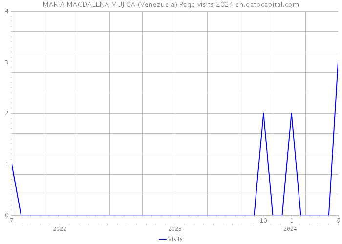 MARIA MAGDALENA MUJICA (Venezuela) Page visits 2024 