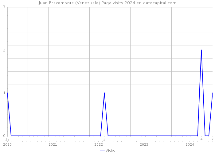 Juan Bracamonte (Venezuela) Page visits 2024 