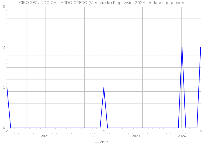 CIRO SEGUNDO GALLARDO OTERO (Venezuela) Page visits 2024 