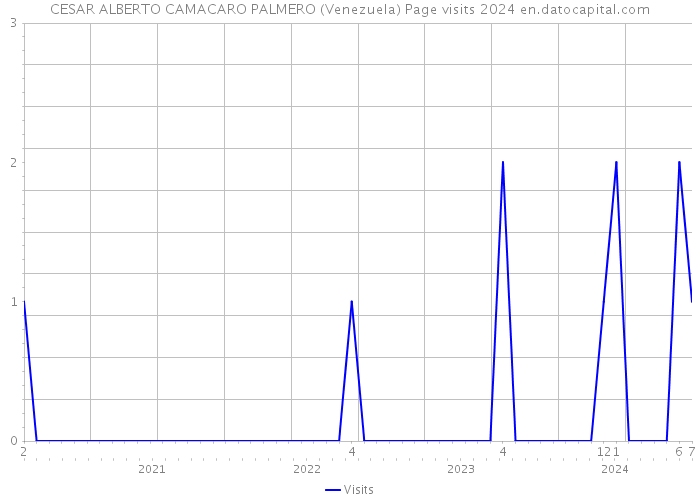 CESAR ALBERTO CAMACARO PALMERO (Venezuela) Page visits 2024 