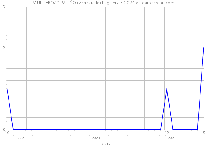 PAUL PEROZO PATIÑO (Venezuela) Page visits 2024 
