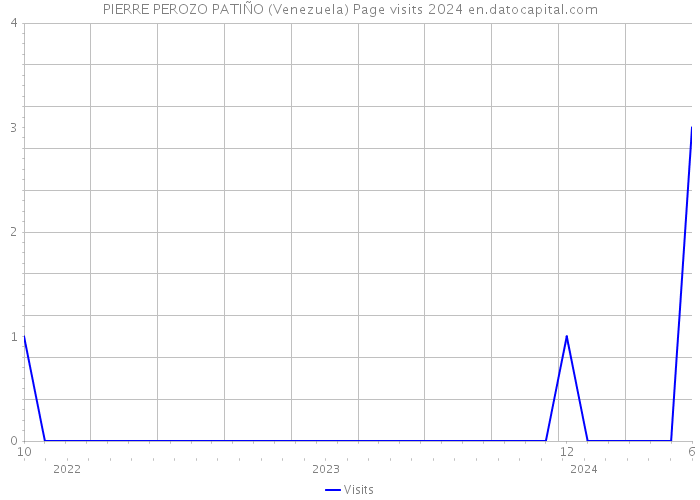 PIERRE PEROZO PATIÑO (Venezuela) Page visits 2024 