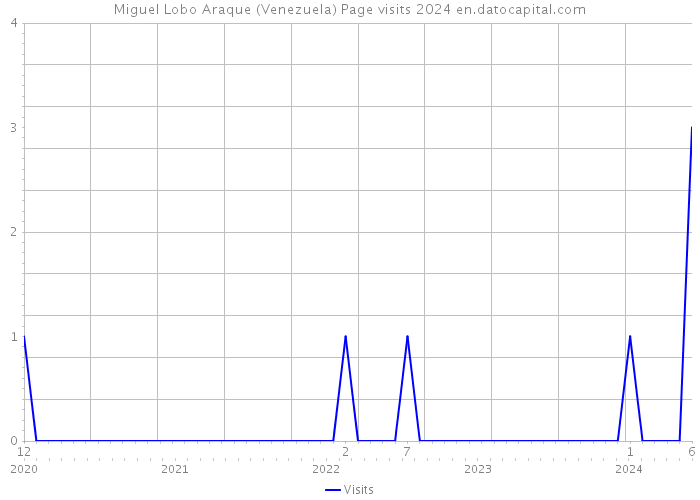 Miguel Lobo Araque (Venezuela) Page visits 2024 