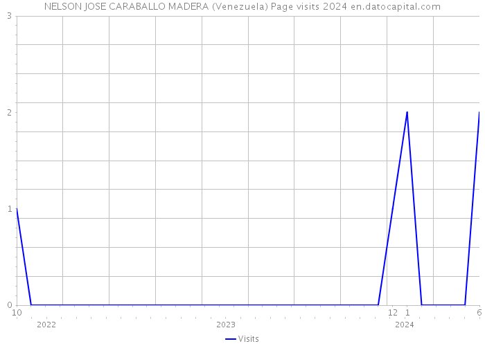 NELSON JOSE CARABALLO MADERA (Venezuela) Page visits 2024 