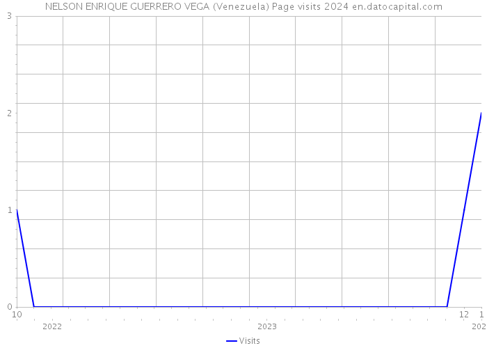 NELSON ENRIQUE GUERRERO VEGA (Venezuela) Page visits 2024 