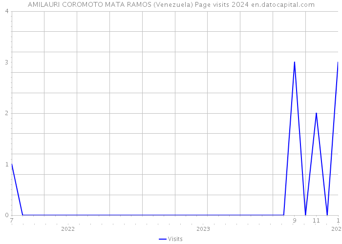 AMILAURI COROMOTO MATA RAMOS (Venezuela) Page visits 2024 
