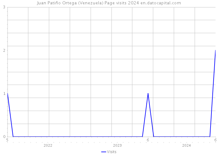 Juan Patiño Ortega (Venezuela) Page visits 2024 