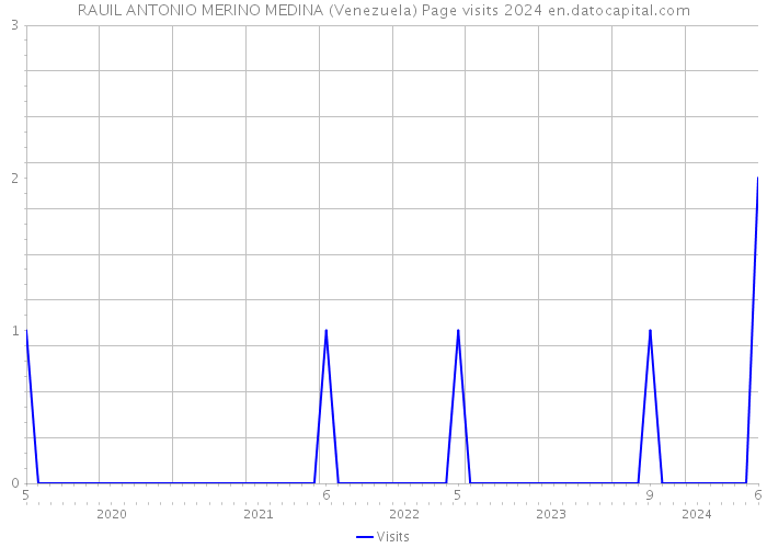 RAUIL ANTONIO MERINO MEDINA (Venezuela) Page visits 2024 