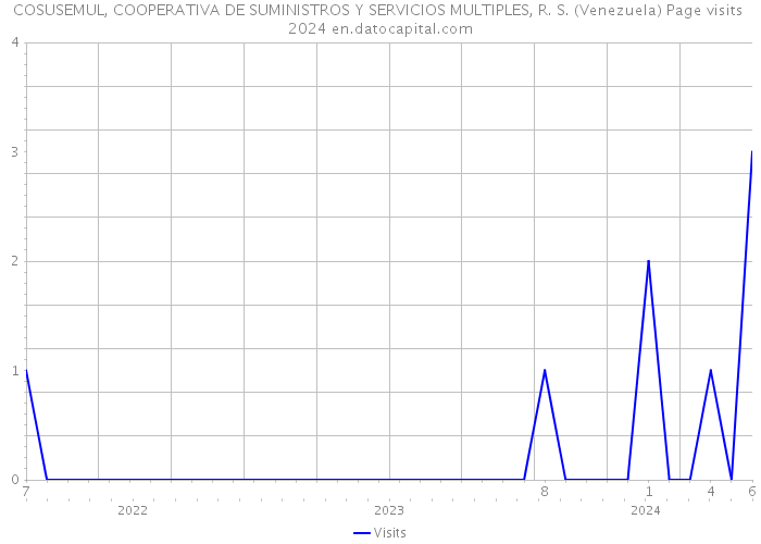 COSUSEMUL, COOPERATIVA DE SUMINISTROS Y SERVICIOS MULTIPLES, R. S. (Venezuela) Page visits 2024 