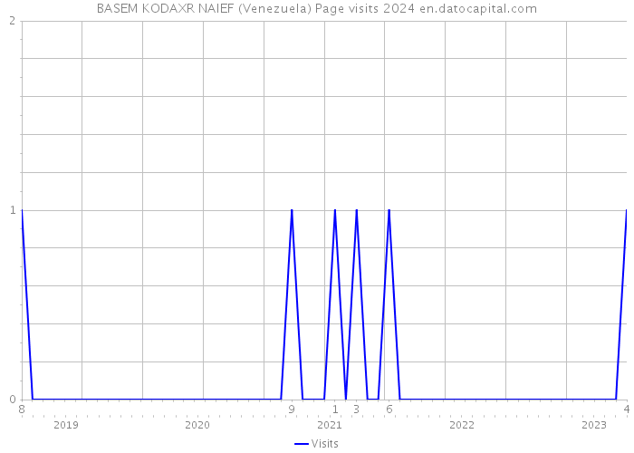 BASEM KODAXR NAIEF (Venezuela) Page visits 2024 