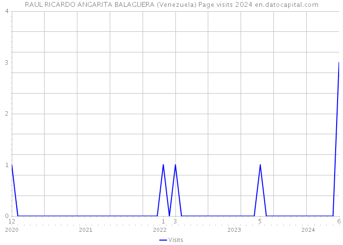 RAUL RICARDO ANGARITA BALAGUERA (Venezuela) Page visits 2024 