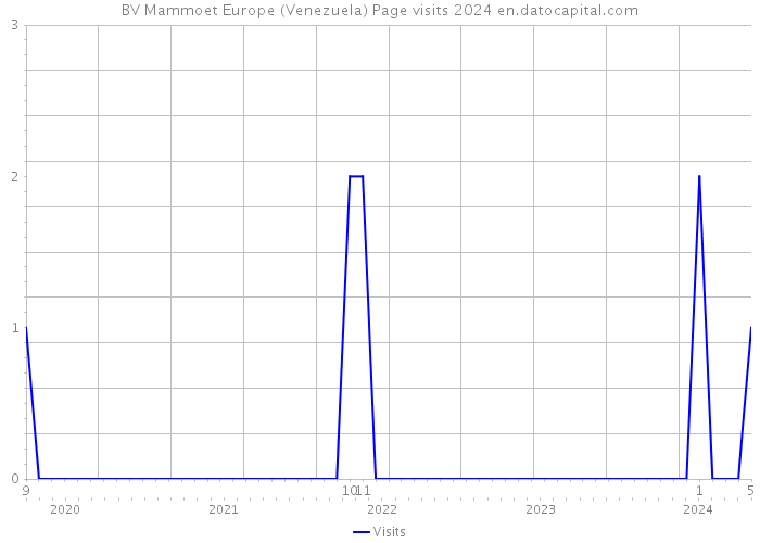 BV Mammoet Europe (Venezuela) Page visits 2024 