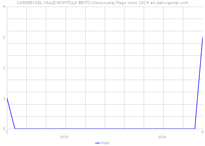 CARMEN DEL VALLE MONTILLA BRITO (Venezuela) Page visits 2024 
