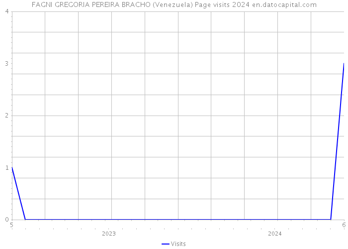 FAGNI GREGORIA PEREIRA BRACHO (Venezuela) Page visits 2024 