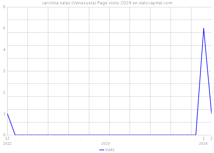 carolina salas (Venezuela) Page visits 2024 