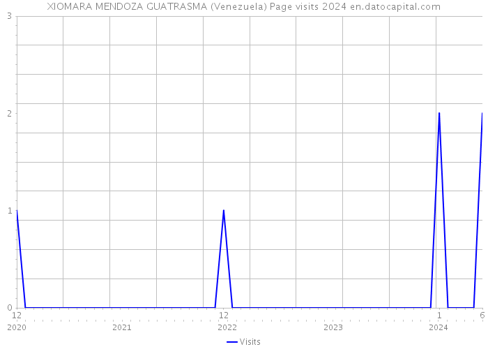 XIOMARA MENDOZA GUATRASMA (Venezuela) Page visits 2024 