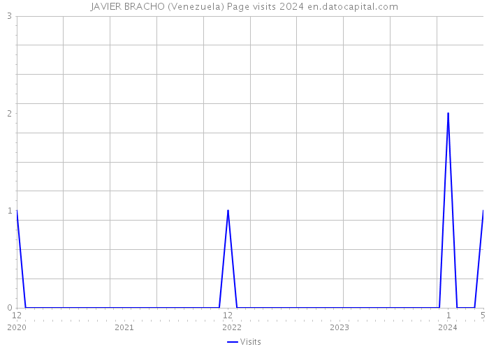 JAVIER BRACHO (Venezuela) Page visits 2024 