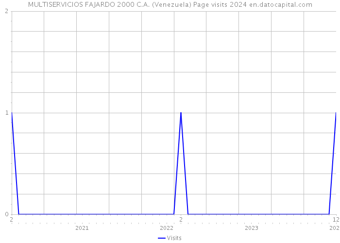 MULTISERVICIOS FAJARDO 2000 C.A. (Venezuela) Page visits 2024 