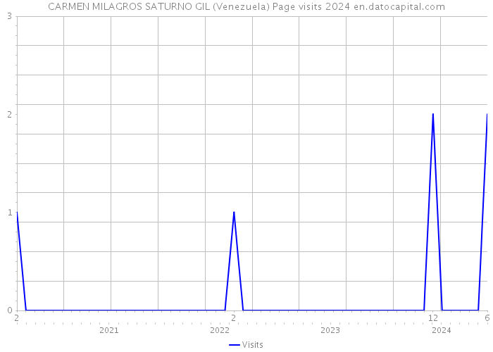 CARMEN MILAGROS SATURNO GIL (Venezuela) Page visits 2024 