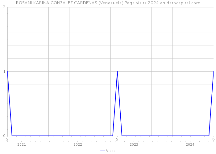 ROSANI KARINA GONZALEZ CARDENAS (Venezuela) Page visits 2024 