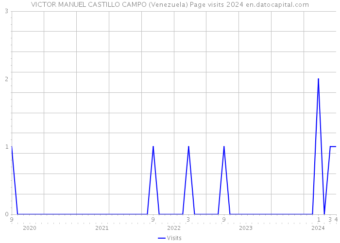 VICTOR MANUEL CASTILLO CAMPO (Venezuela) Page visits 2024 
