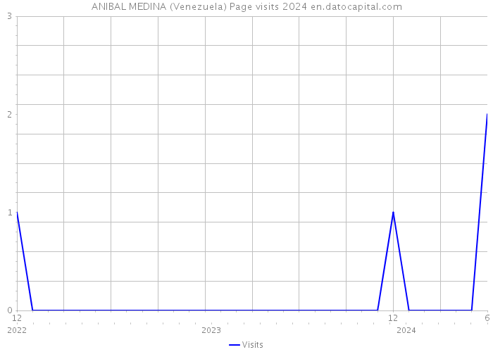 ANIBAL MEDINA (Venezuela) Page visits 2024 