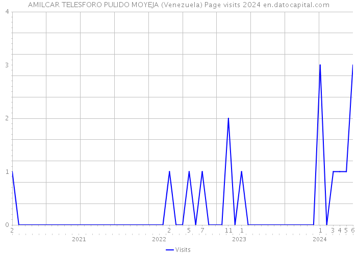 AMILCAR TELESFORO PULIDO MOYEJA (Venezuela) Page visits 2024 