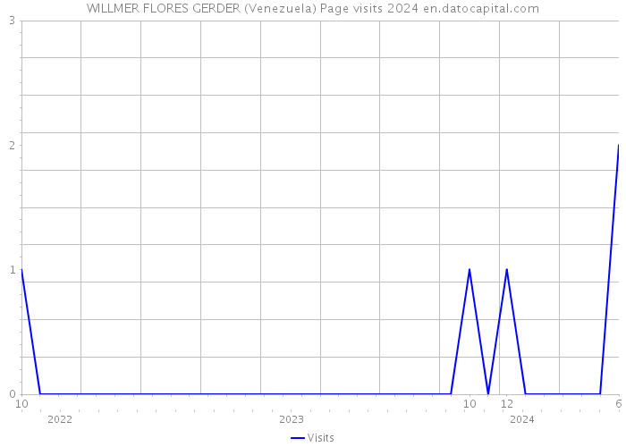 WILLMER FLORES GERDER (Venezuela) Page visits 2024 