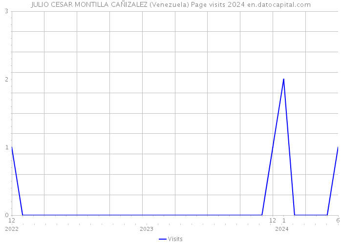 JULIO CESAR MONTILLA CAÑIZALEZ (Venezuela) Page visits 2024 
