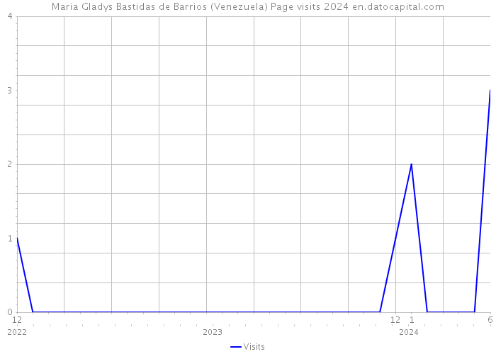 Maria Gladys Bastidas de Barrios (Venezuela) Page visits 2024 