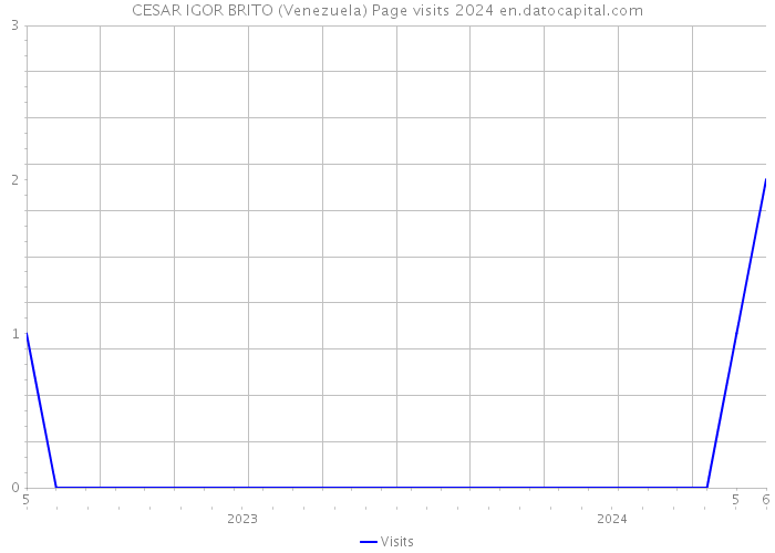CESAR IGOR BRITO (Venezuela) Page visits 2024 