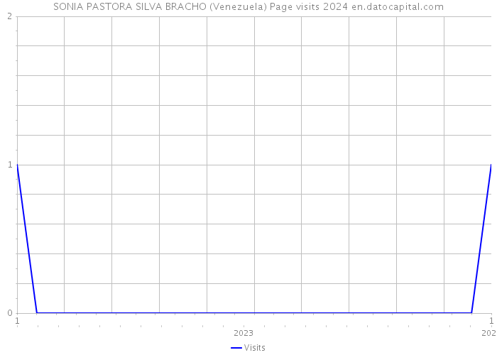 SONIA PASTORA SILVA BRACHO (Venezuela) Page visits 2024 