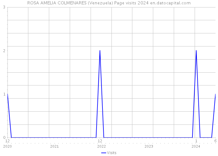ROSA AMELIA COLMENARES (Venezuela) Page visits 2024 