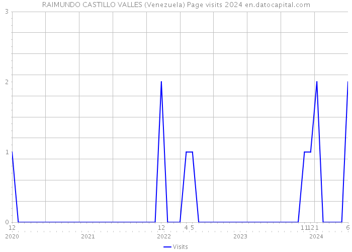 RAIMUNDO CASTILLO VALLES (Venezuela) Page visits 2024 