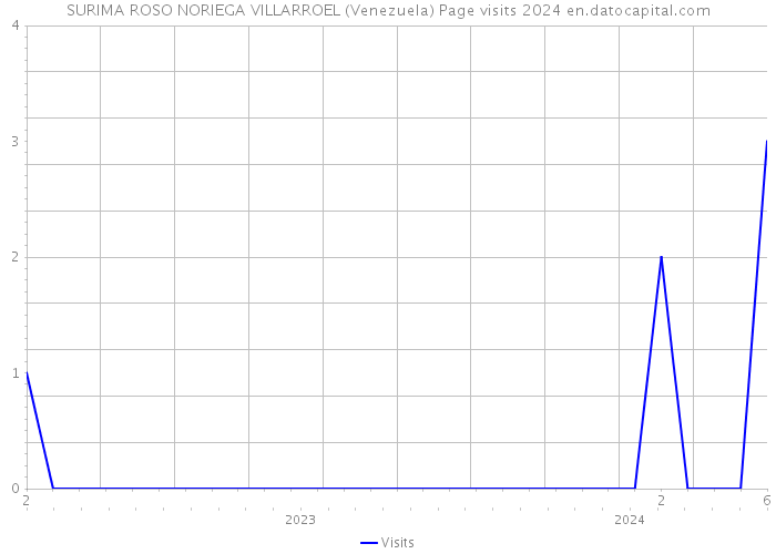 SURIMA ROSO NORIEGA VILLARROEL (Venezuela) Page visits 2024 
