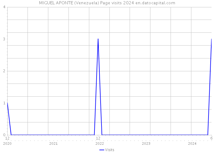 MIGUEL APONTE (Venezuela) Page visits 2024 