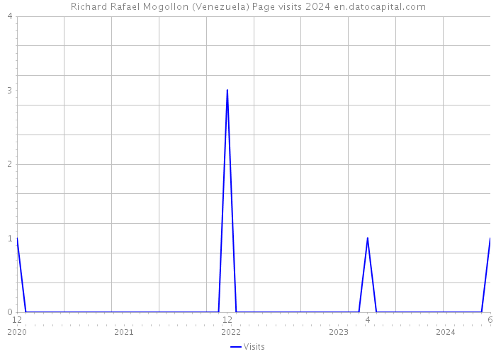Richard Rafael Mogollon (Venezuela) Page visits 2024 