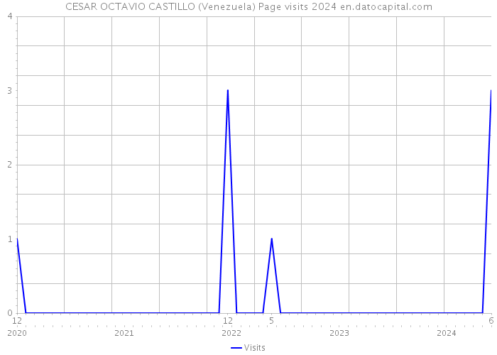 CESAR OCTAVIO CASTILLO (Venezuela) Page visits 2024 
