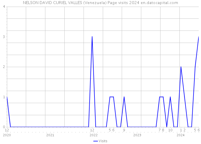 NELSON DAVID CURIEL VALLES (Venezuela) Page visits 2024 