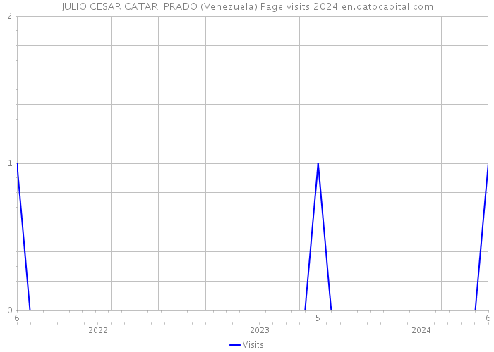 JULIO CESAR CATARI PRADO (Venezuela) Page visits 2024 