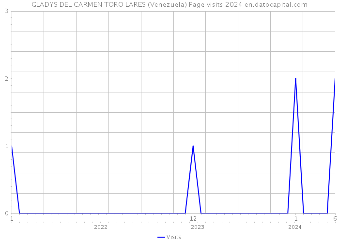 GLADYS DEL CARMEN TORO LARES (Venezuela) Page visits 2024 